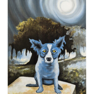 Cosmos Dog